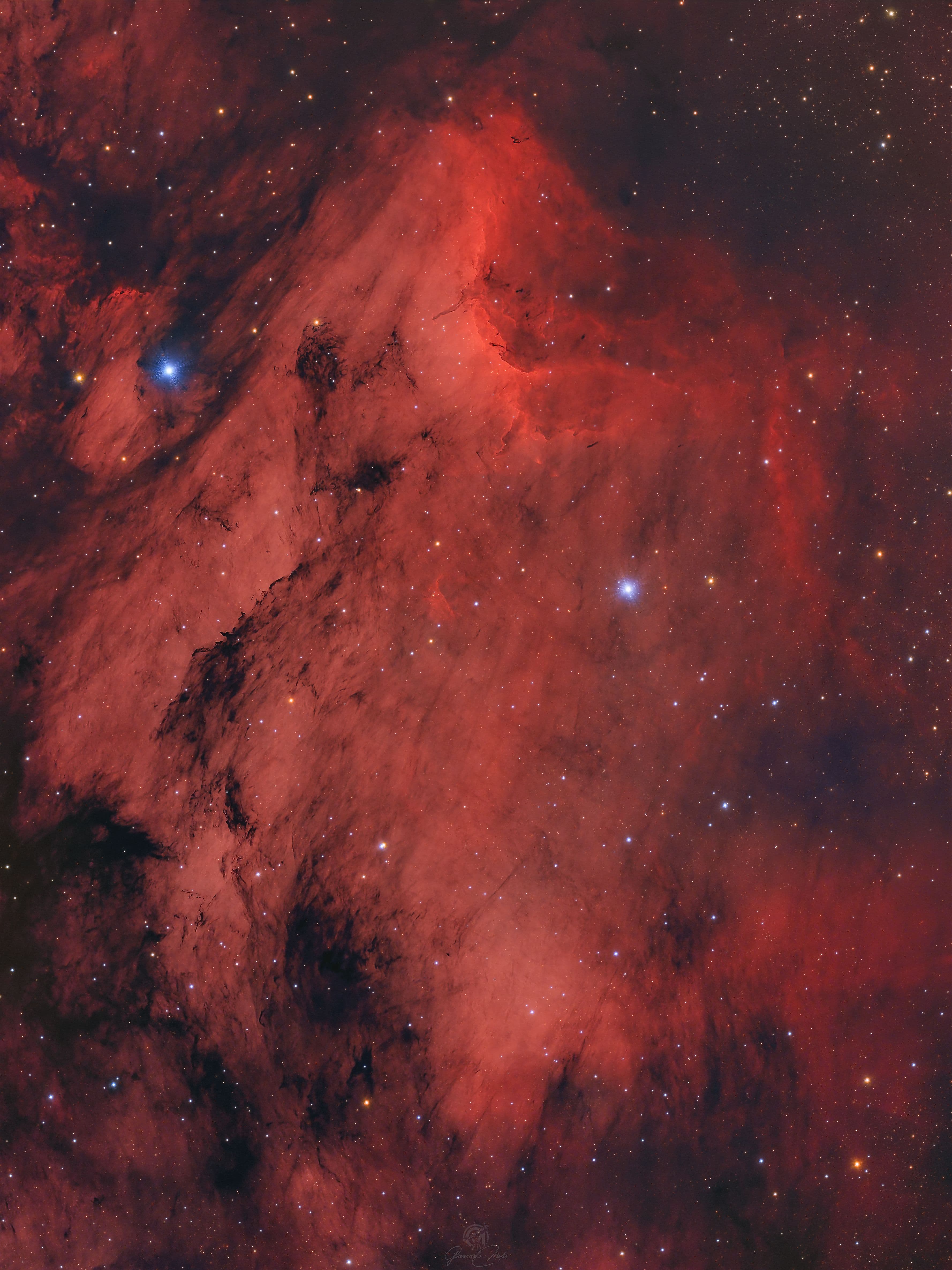 IC 5070 - Pelican nebula