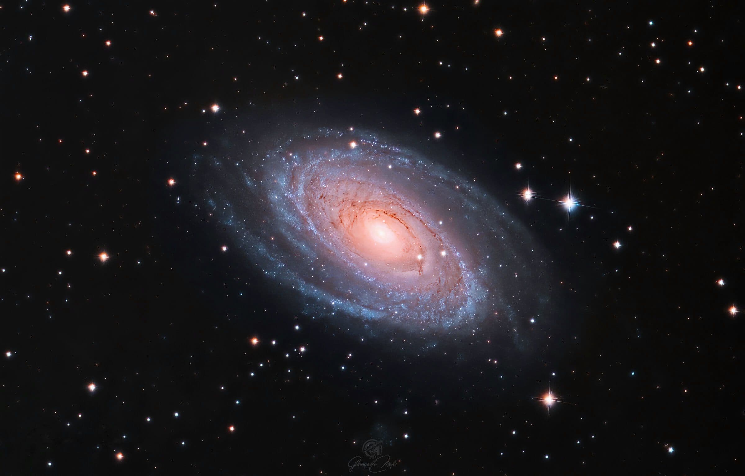 M81