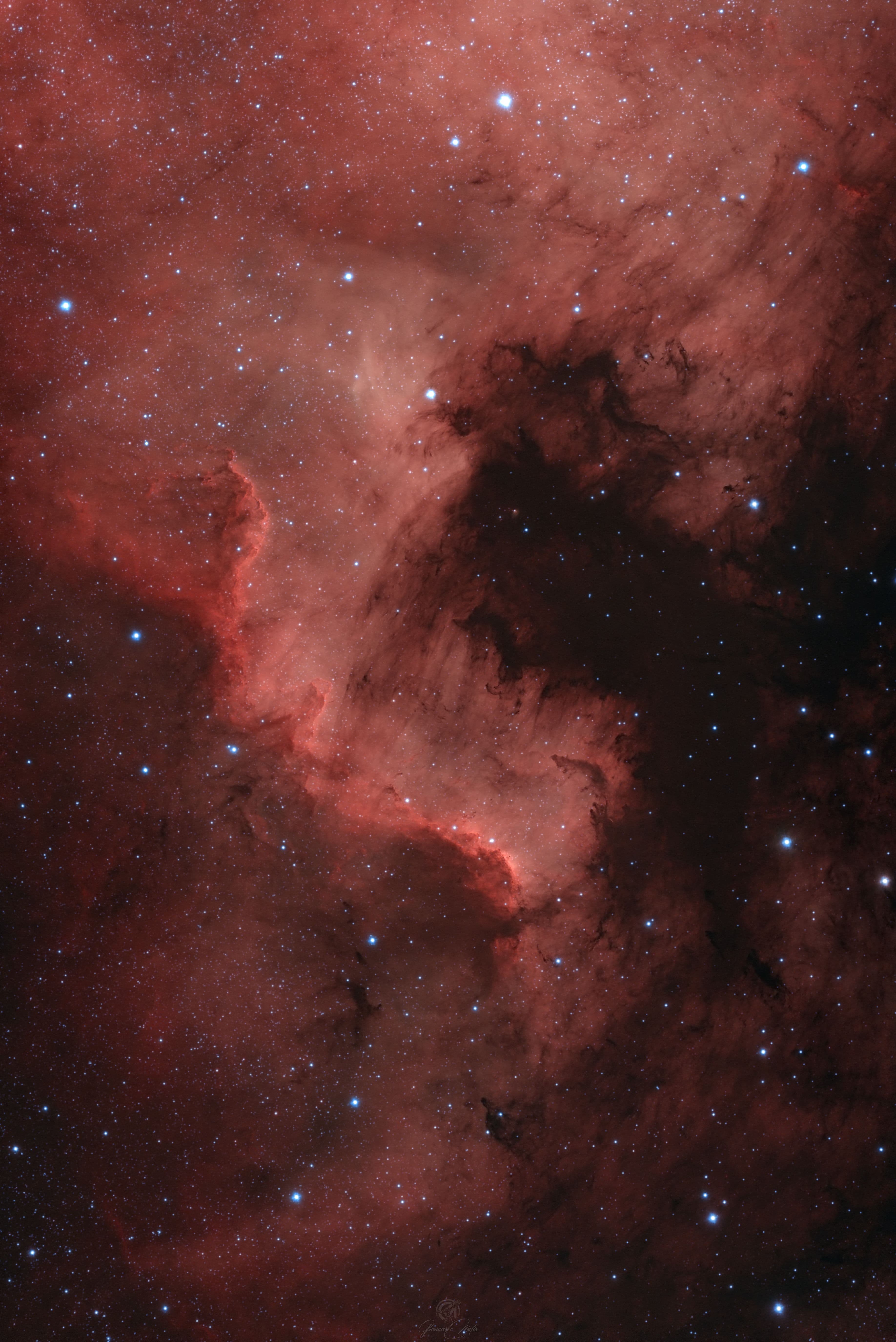 NGC7000 - North America Nebula