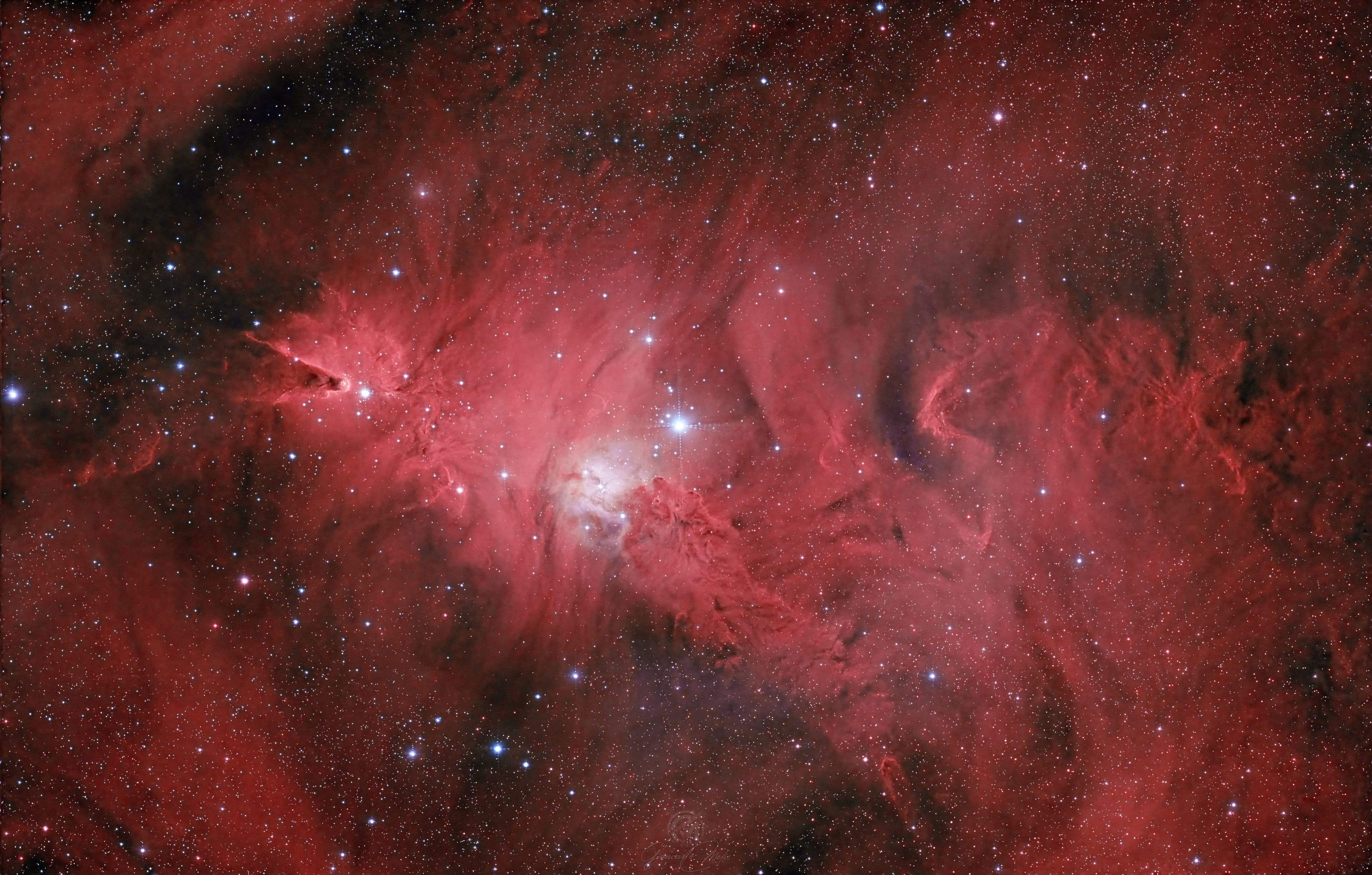 NGC 2264 – Christmas Tree Cluster & Cone Nebula
